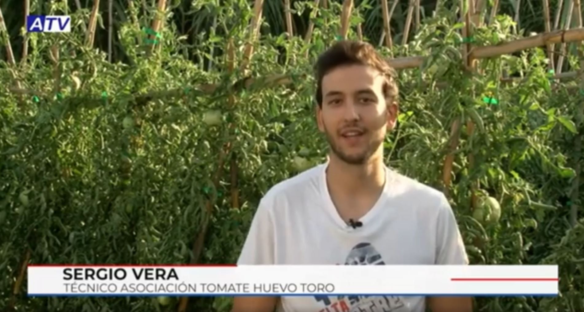 Visitas a campo para el estudio de semillas de Tomate Huevo Toro