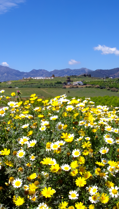 pAISAJE_photo_noise3_scale