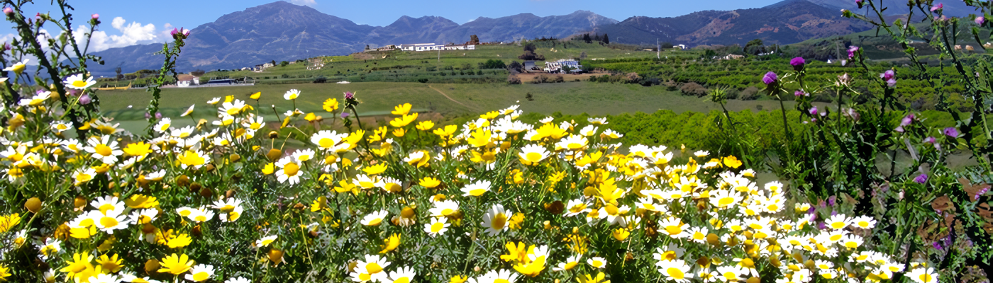 pAISAJE_photo_noise3_scale